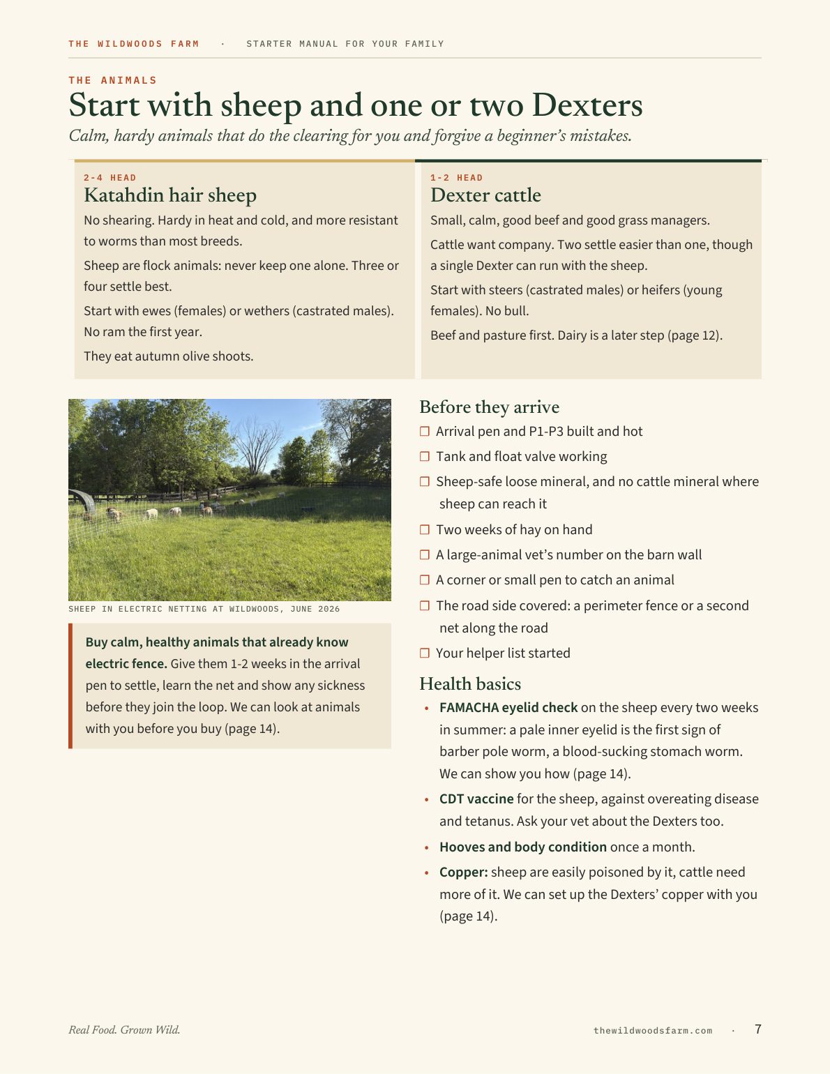 Page 7: starting with sheep and one or two small Dexter cattle