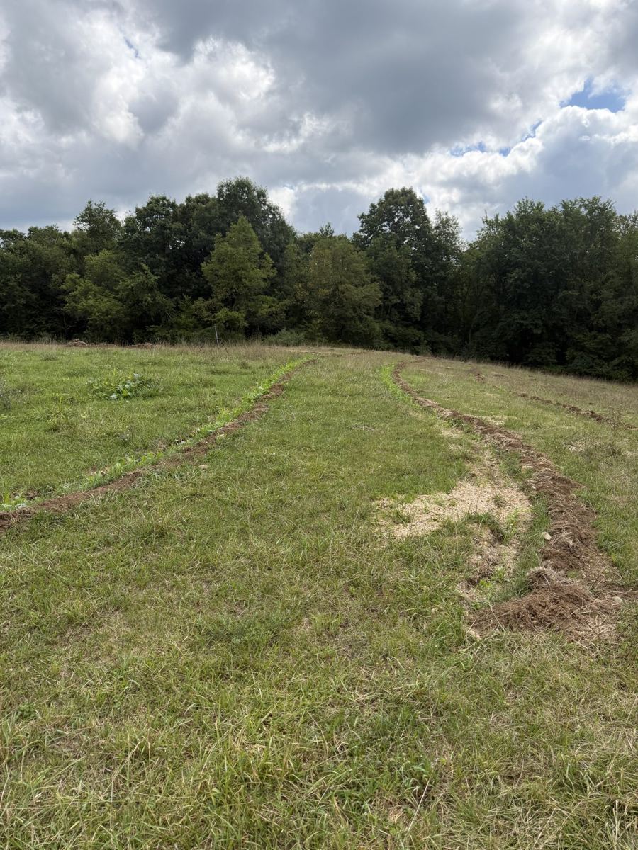 The same swales in late August with the first green shoots along each line