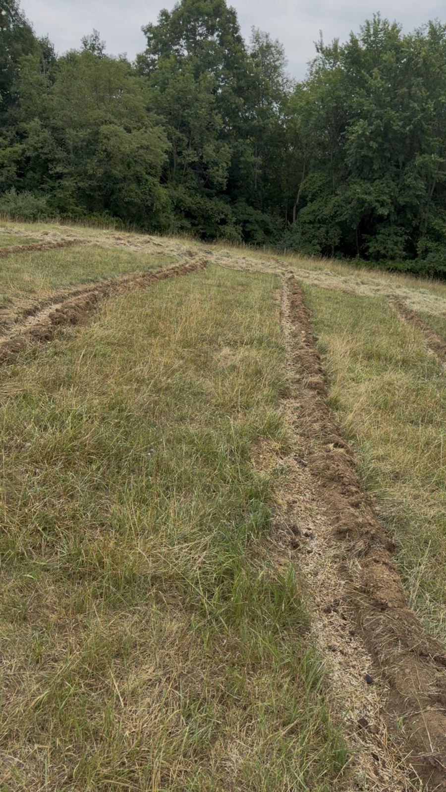 Freshly dug swales running across a grassy hillside, with seed scattered along them