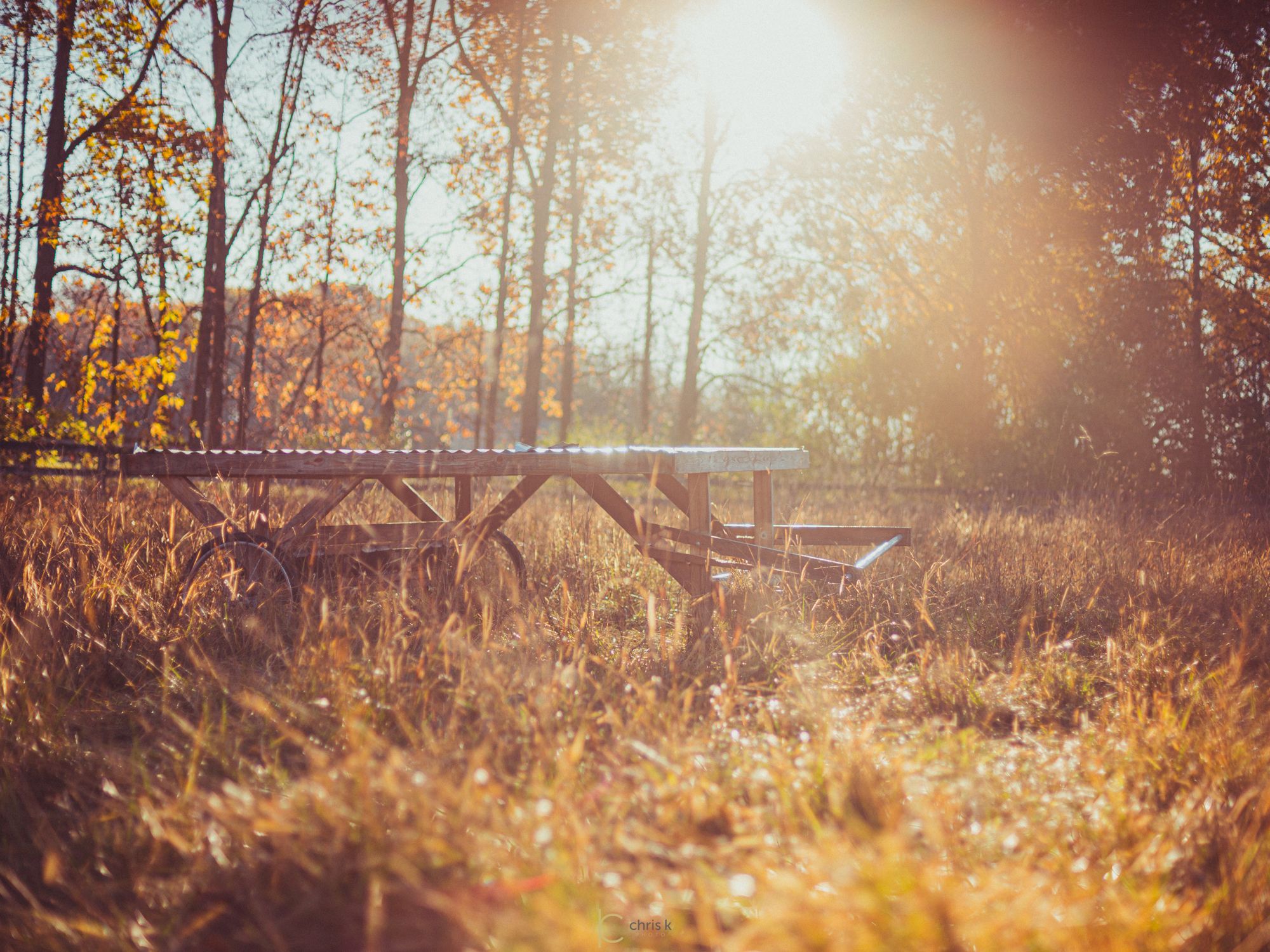 The picnic table at the woodline in golden evening light